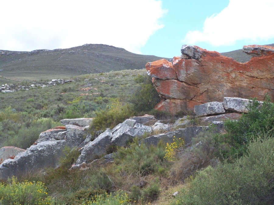 Commercial Property for Sale in Montagu Rural Western Cape